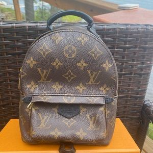 Authentic Louis Vuitton Palm Springs Mini
